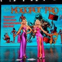 НОСОРОГ ПРО - 17 (Фото №0483)