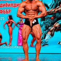 НОСОРОГ ПРО - 17 (Фото №0522)