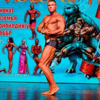 НОСОРОГ ПРО - 17 (Фото №0528)