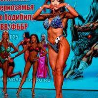 НОСОРОГ ПРО - 17 (Фото №0560)