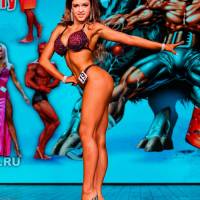 НОСОРОГ ПРО - 17 (Фото №0564)