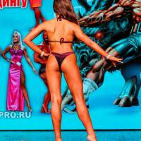 НОСОРОГ ПРО - 17 (Фото №0565)