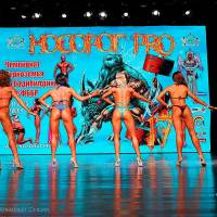 НОСОРОГ ПРО - 17 (Фото №0569)