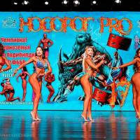 НОСОРОГ ПРО - 17 (Фото №0571)