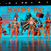 НОСОРОГ ПРО - 17 (Фото №0572)