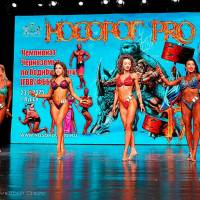 НОСОРОГ ПРО - 17 (Фото №0576)