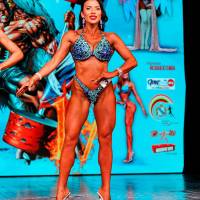 НОСОРОГ ПРО - 17 (Фото №0584)