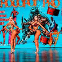 НОСОРОГ ПРО - 17 (Фото №0594)