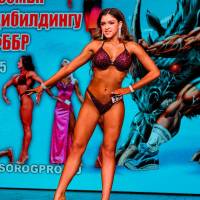 НОСОРОГ ПРО - 17 (Фото №0605)