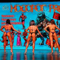 НОСОРОГ ПРО - 17 (Фото №0611)