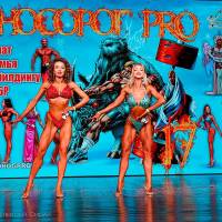 НОСОРОГ ПРО - 17 (Фото №0620)