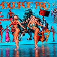 НОСОРОГ ПРО - 17 (Фото №0621)