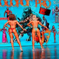 НОСОРОГ ПРО - 17 (Фото №0622)