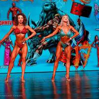 НОСОРОГ ПРО - 17 (Фото №0624)