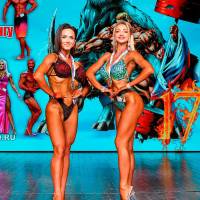 НОСОРОГ ПРО - 17 (Фото №0651)