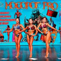 НОСОРОГ ПРО - 17 (Фото №0657)