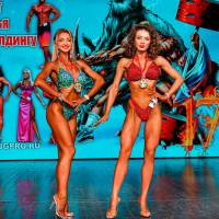 НОСОРОГ ПРО - 17 (Фото №0661)