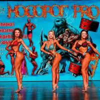 НОСОРОГ ПРО - 17 (Фото №0664)