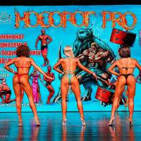 НОСОРОГ ПРО - 17 (Фото №0665)