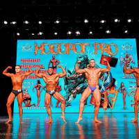 НОСОРОГ ПРО - 17 (Фото №0668)