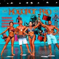 НОСОРОГ ПРО - 17 (Фото №0695)